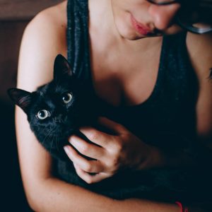 Kattenbak zwanger